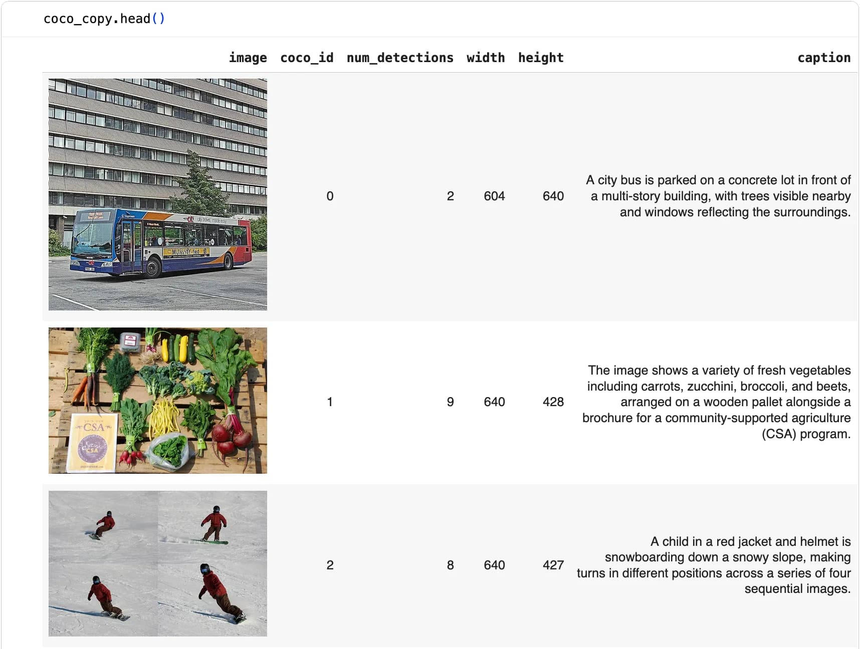 Local view of replicated COCO dataset showing images with metadata and captions